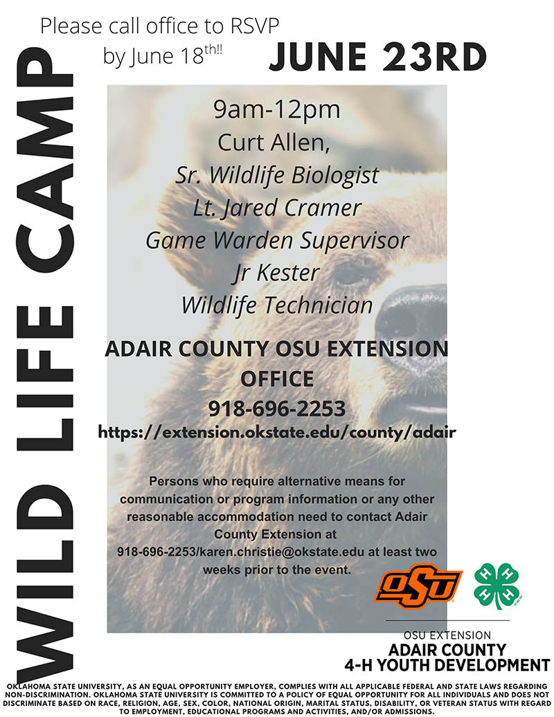 WILD LIFE CAMP